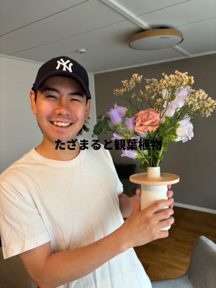 たざまると観葉植物